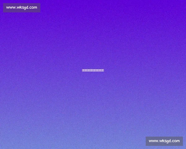 室友与星辰：席尔瓦心中的若塔