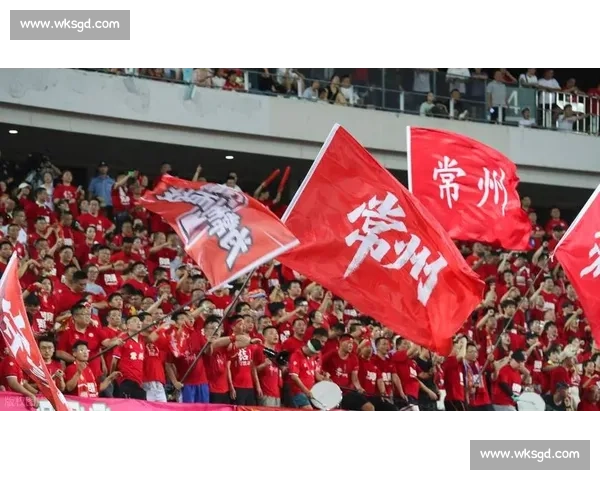 苏超现象:当纯粹足球点燃全民狂欢